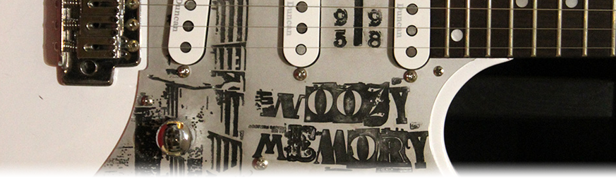 20th Woozy Memory birthday guitar memorial